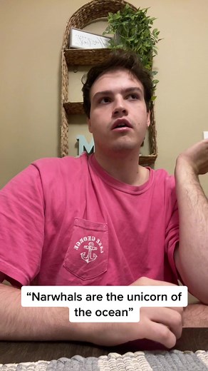 Narwhals: The Unicorns of the Ocean Explained