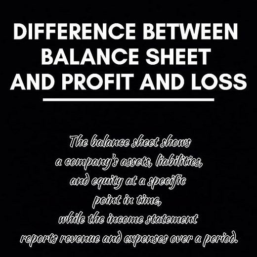 Difference between Balance Sheet and Profit and loss Statement
