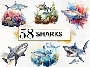 Shark Clipart - 58 Sharks Clipart, Baby Shark PNG, Cute Shark PNG, Cute Sea Animals Clipart, Sealife Clipart, Underwater PNG, Commercial Use - Etsy