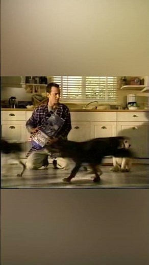Kibbles 'n Bits Puppy - January 18th, 1999 - WBBJ-TV - ABC #dogs #retro #puppies #shorts #petcare
