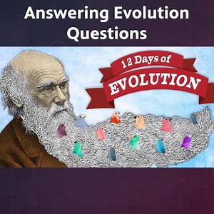 36K views · 1.5K reactions | The 12 Days of Evolution | Be Smart | Facebook