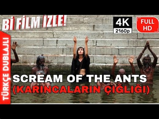 Karıncaların Çığlığı (Scream of the Ants) 2006 | TÜRKÇE DUBLAJLI | 4K | EFSANE DRAM VE MACERA FİLMİ