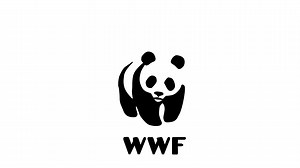 WWF final animation