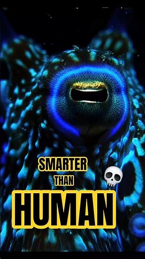 This Animal Solves Problems Humans Can’t!