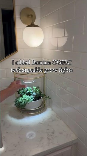 How I add plants to my bathroom with zero windows #plants
