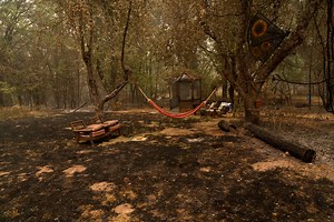 Thousands have been told to leave their homes as Dixie Fire spreads. What should you do if you need to evacuate?