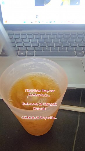 Discover the Gut Health Benefits of Kombucha