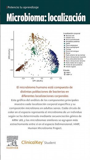MICROBIOMA HUMANO