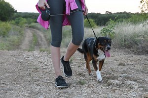 Pet Friendly San Marcos