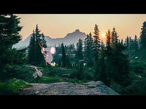 Learn Animals ABCs K is for Koala