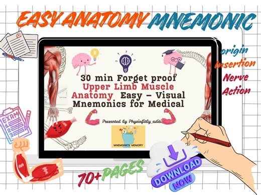 Exam Ready Anatomy : Upper Limb Muscle Visual Stories Mnemonics - Etsy Canada