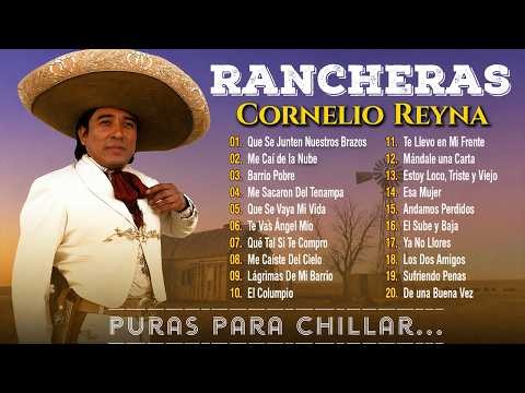 Cornelio Reyna Mix Puros Exitos - Las 20 Mejores Canciones de Cornelio Rena Mix Solo Para Cantineros