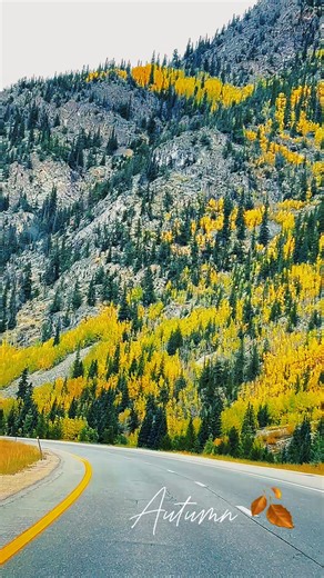 Cruising through Colorado gold: fall vibes and dreamy scenes ahead 🥰🍁🍂 #fallcolors2025 #fall #leafpeeping #crestedbutte #autumn #autumnvibes #Colorado #colorfulcolorado #coppermountain #vailcolorado #grandmesaco #keblerpass #autumn | Roots Photography