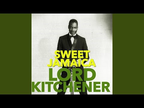 The Underground Train