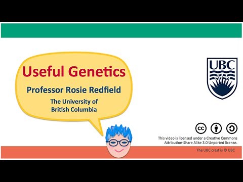 2B - Mutation rates & natural genetic variation