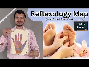 2.4 Your Hands Hold the Key: Exploring Reflexology Hand Map Connections