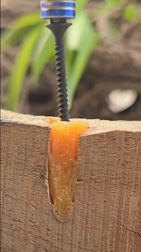 Fix Wood Hole with Glue and Screw – Easy Hack#diy#crafts