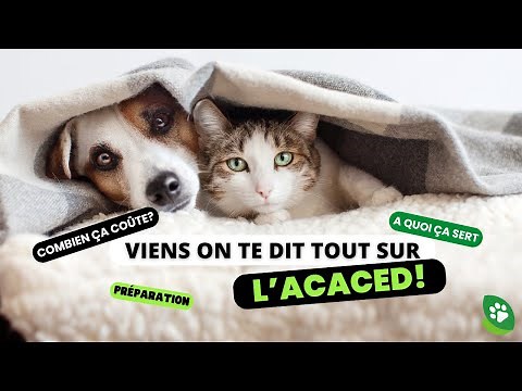 Learn all about ACACED and our practice quiz