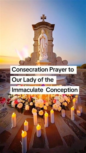 31K views · 1.7K reactions | Consecration Prayer to Our Lady of the Immaculate Conception #ImmaculateConception #ConsecrationPrayer #BlessedMotherMary #FaithAndFamily #PeaceAndHope | Praise Songs & Prayers | Facebook