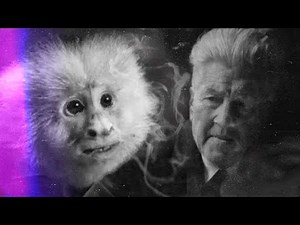 What did jack do? - El mono y David Lynch