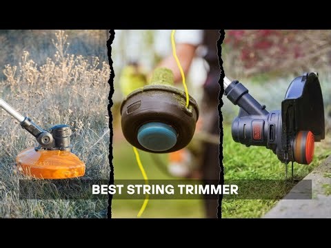 7 Best String Trimmer 2026: The Top Models Tested