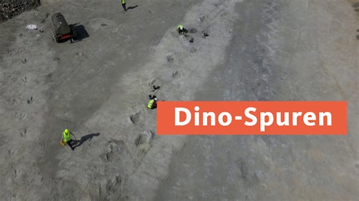 Nach Sensationsfund in England: Diese Dino-Spuren gibt es in NRW