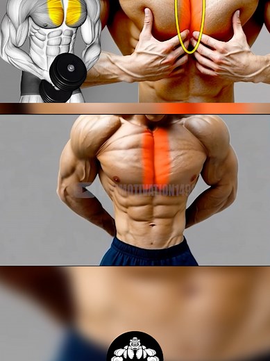 8 Best Exercises to Enhance Inner Pecs