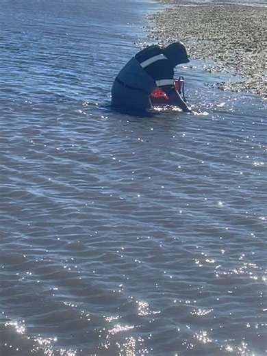 Captain Mike's Seafood & Lobster Company on Reels | Facebook