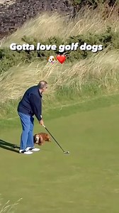 You’ll never lose a ball in the ruff again with this furry friend 😊 (via DP World Tour) | Golf on CBS