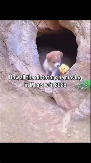 Amid the riots currently taking place in Iran, several intelligence services suggest that the Ayatollah could be extradited to Moscow for his own protection. Such a move would symbolize a major political shift and further lengthen the list of authoritarian leaders in exile in Vladimir Putin’s Russia. Moscow has already become a refuge for figures like Bashar al-Assad and other former rulers seeking safety after losing control at home, reinforcing its image as a shelter for embattled dictators.