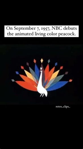 retro_clips_ on Instagram: "#50s #1950s #50stv #tv #nbc #peacock #logo #retro #nostalgia"