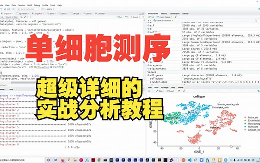 手把手教你单细胞测序分析实战-R Python全程实战