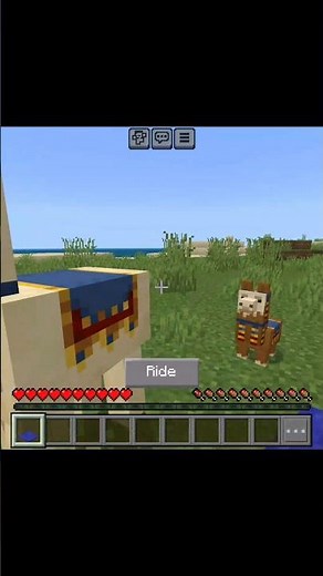 How To Tame Llama In Minecraft Survival #minecraft #shorts
