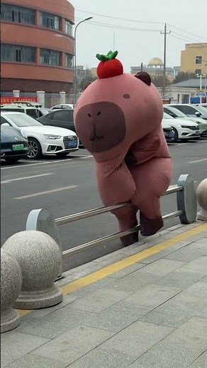 Capybara costume fails at the worst time! 🤣🐹