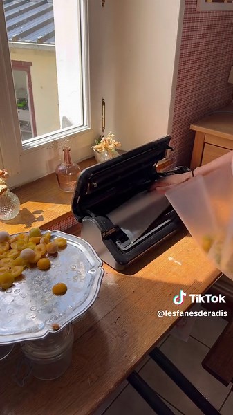 Après avoir donné des dizaines de kilos et cuisiné de différentes façons, place à la congelation des prunes pour les cuisiner plus tard. Et vous quelles sont vos methodes de conservation pour les prunes ? Déshydratation, gelées, confitures ? - - #conservation #congelation #prunes #verger #jardin