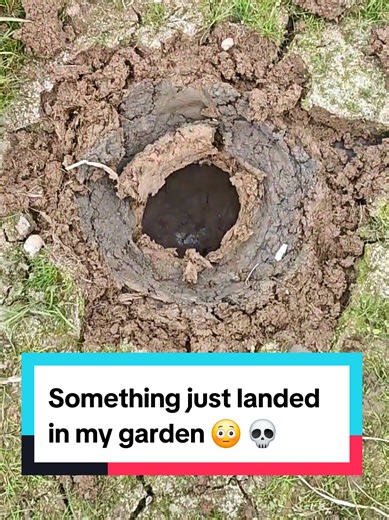 Mysterious Object Lands in My Garden