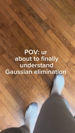 Seif Metwally | Masters Student | University Tutor on Instagram: "How to solve a system of linear equations using Gaussian elimination in linear algebra Follow for more math content"