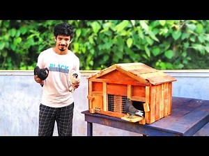 Making Beautiful Pigeon Cage | How To Make Pigeon Cage at Home