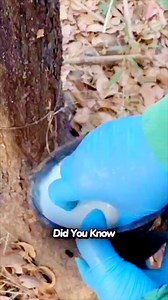 143K views · 913 reactions | ⚡⚡Rubber చెట్టు నుండి ఇలా తీస్తారు |⚡Interesting Facts #viralreelsfb #telugureels #dskfacts #factsintelugu #explorepage #fb #virals #trendingpost | DSK Facts | Facebook