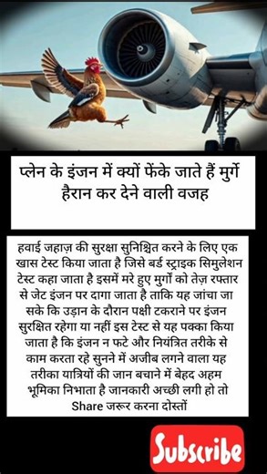 प्लेन के इंजन में क्यों फेंके जाते हैं मुर्गे? वजह जानकर हैरान रह जाएंगे ✈️🐔#shorts#trending#facts