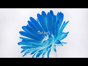 No Copyright Music『Mutant』[Near future / Narration / News / Cool / Electro]