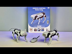 Merakit RC Robot Anjing / Kucing - REMOTE CONTROL Robot Dog / Robot Cat - DIY ASMR