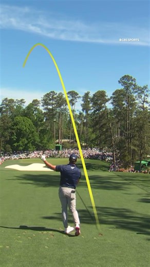 Thankfully, the patron was okay from Bryson's tee shot #golf #masters #shorts