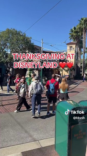 Thanksgiving Celebration at Disneyland Vlog
