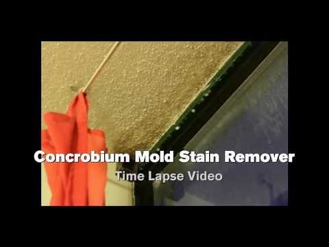 Textured Ceiling - Time Lapse - Concrobium Mold Stain Remover