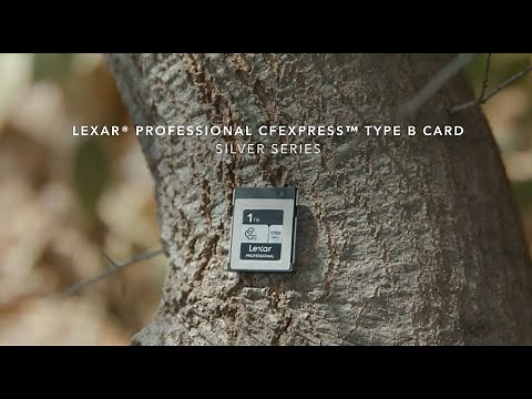 Lexar® Professional CFexpress™ Type B Card SILVER Series