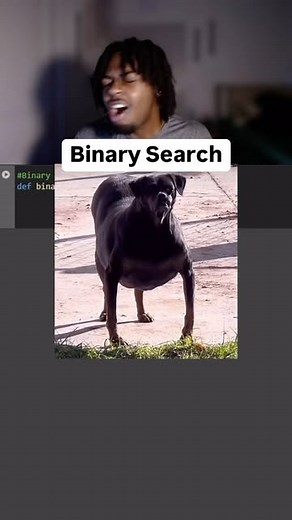 Arrion Knight | Computer Science | I just lost my daawwwg… Binary search explained in Python #coding #python #programming #programmingmemes #computerscience | Instagram