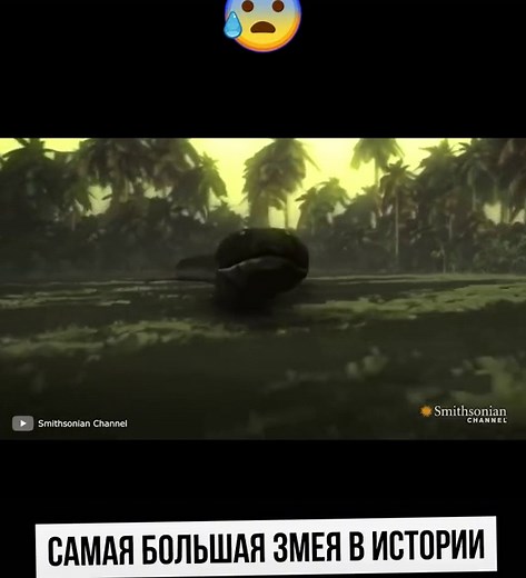 Исследование самой большой змеи в мире: Титанобоа