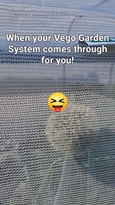 These leaf-footed bugs really thought they had VIP access to my veggies… But thanks to my Vego Garden Cover System, they’re stuck watching from the outside. 😎🌿 ✨ Bonus: I added the optional misting system to keep my plants cool and hydrated—Texas heat approved! No pests, no wilted leaves—just a thriving garden. 💚 #GardeningWithMel #VegoGarden #RaisedBedGarden #GardenCover #OrganicGardening #TexasGardening #PestFreePlants #GardenTips #SummerGarden #fightthepower Comment "Power" for your link t