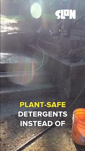 Clean Concrete Steps Without Harming Your Garden!